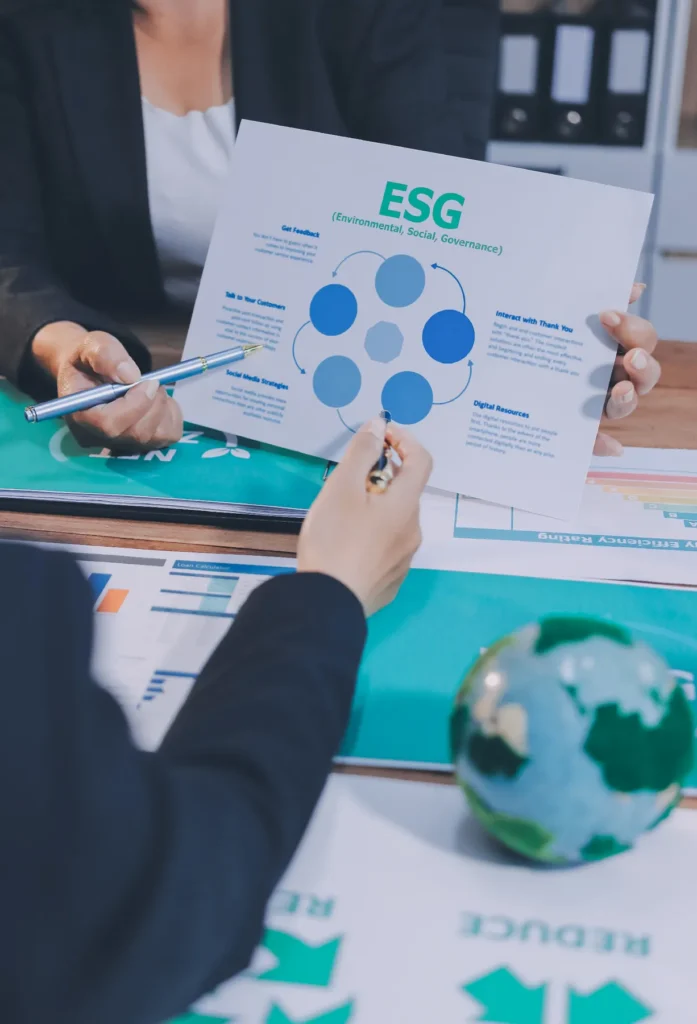 Consulting Cost and Timeline